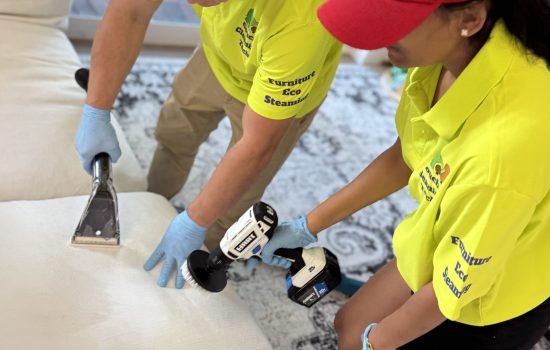 couch cleaning boca raton palm beach